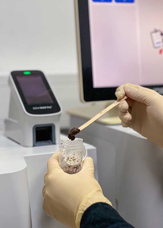 Analyse einer Kotprobe im Labor, Probe wird in ein Röhrchen gefüllt.